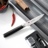 2563 FISSMAN Нож Овощной 10см Kensei Kojiro (сталь AUS-8)