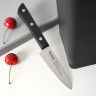 2587 FISSMAN Нож Овощной 9 см TANTO (420J2 сталь)