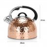 5966 FISSMAN Чайник для кипячения воды NICOLE 2,5л (нерж.сталь)