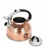 5966 FISSMAN Чайник для кипячения воды NICOLE 2,5л (нерж.сталь)