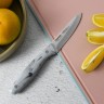 2702 FISSMAN Набор ножей 3 пр ROMERO (гастрономический 16см/универсальный 13,5см/овощной 10см,3CR13 сталь)